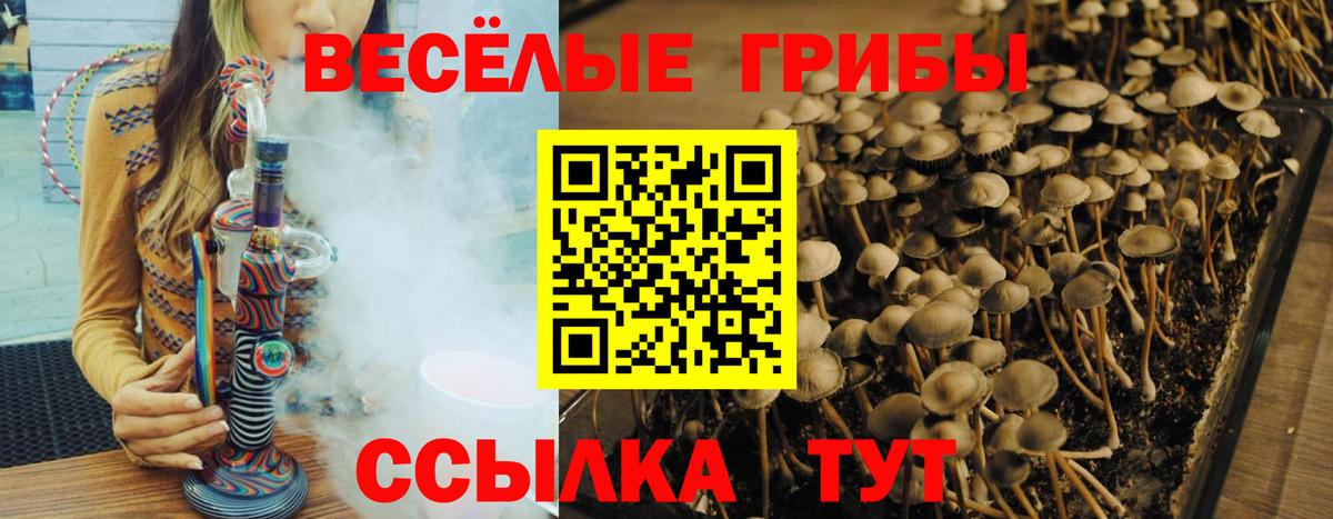Галлюциногенные грибы Magic Shrooms  Вход с VPN  Красноярск 