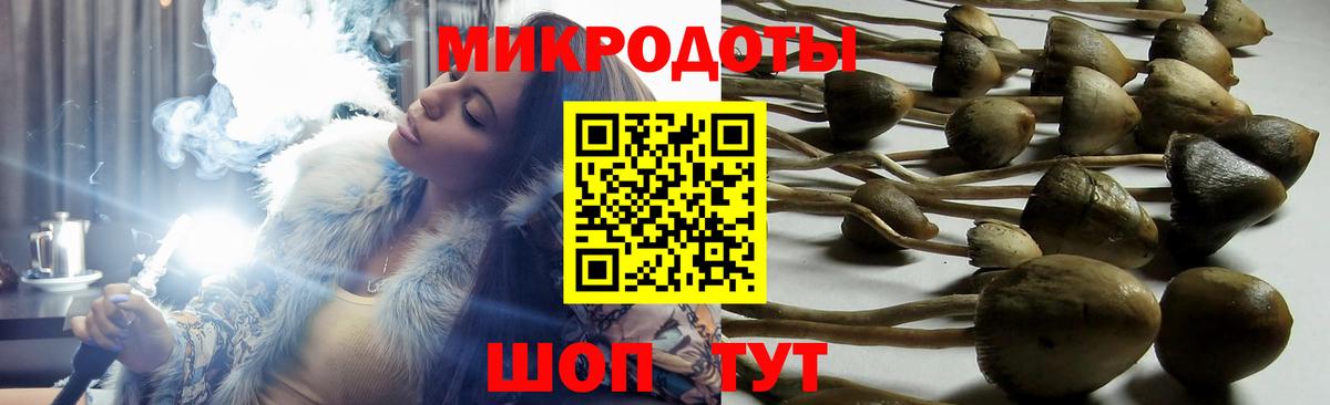 Галлюциногенные грибы Magic Shrooms Красноярск